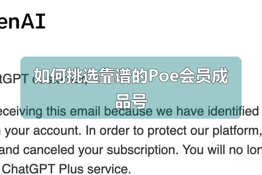 如何挑选靠谱的Poe会员成品号
